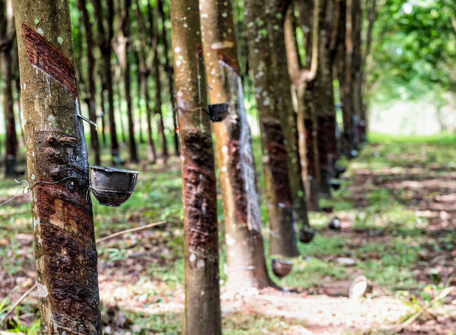 Caucho Natural